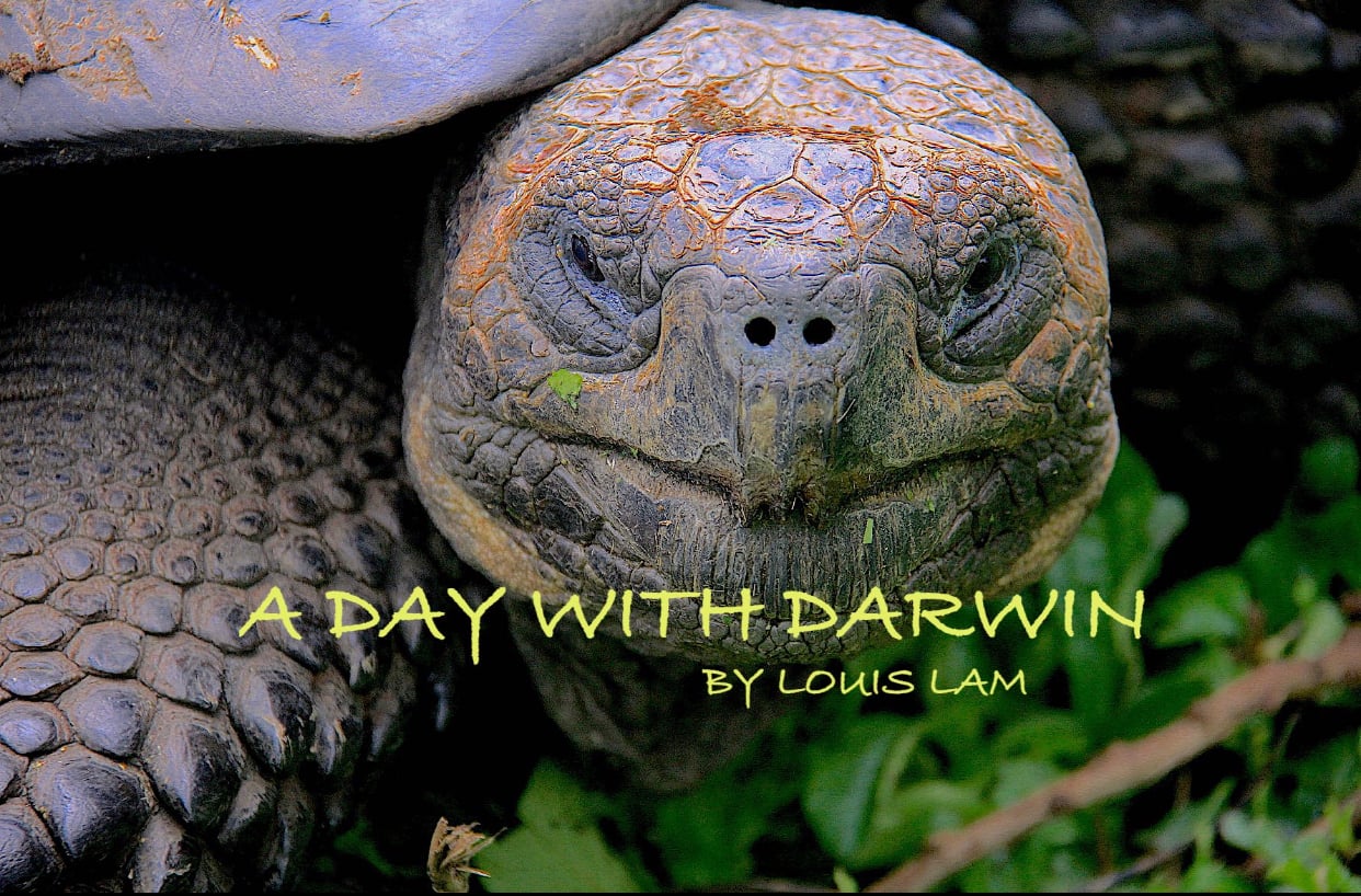 Galapagos  - A Day With Darwin