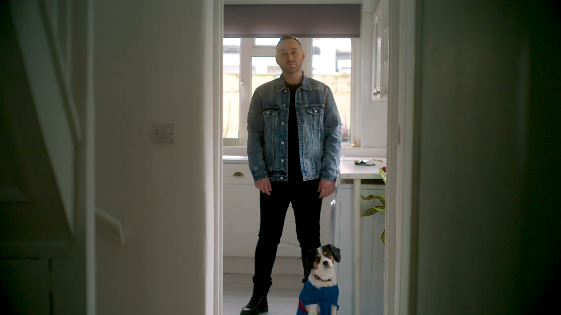 NHS - Cats Vs Dogs