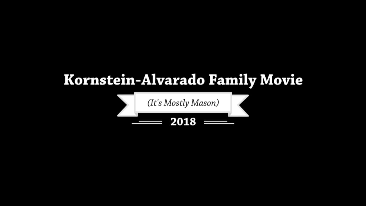 2018 Kornstein Alvarado Family Video