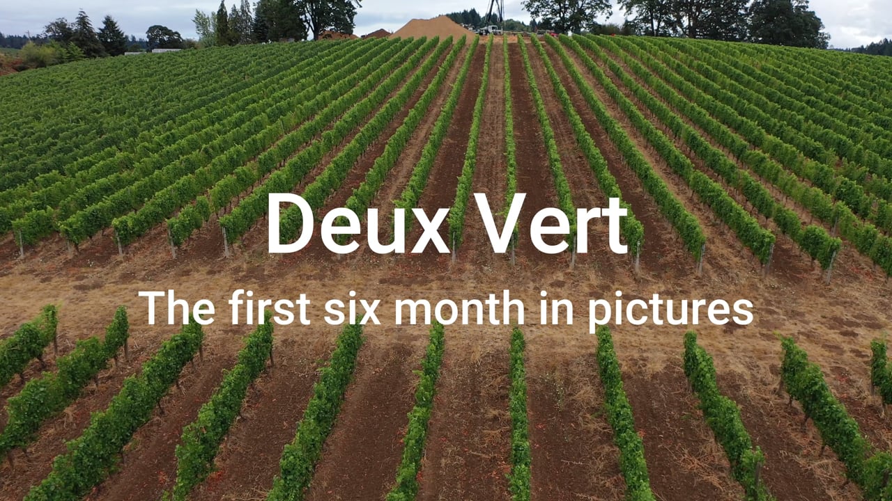 Deux Vert: The first six months