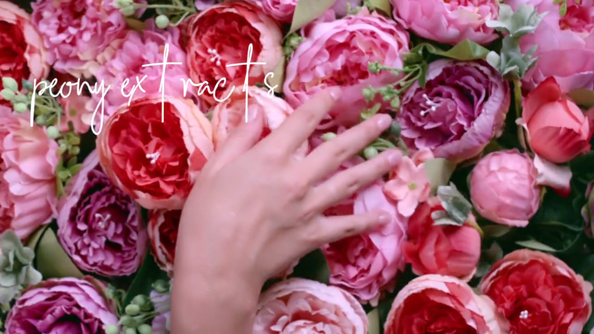 Avi Karpick-Palmolive Macademia