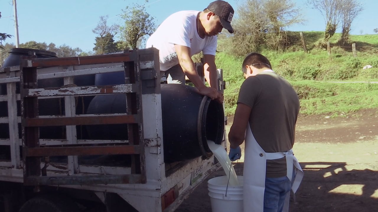 Leche Vaca Vera y Emprendimientos con el Café