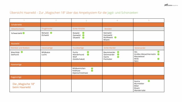 Kennzeichnung der Jagd- und Schonzeit beim Haarwild