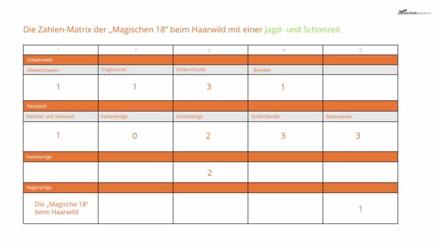 Die Zahlen-Matrix beim Haarwild mit einer Jagd- und Schonzeit