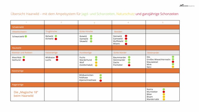 Komplette Übersicht beim Haarwild mit den Jagd- und Schonzeiten, Naturschutz und ganzjährigen Schonzeiten
