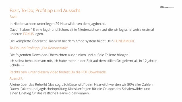 Fazit, To-Do, Profitipp und Aussicht bei der Haarwild-Übersicht