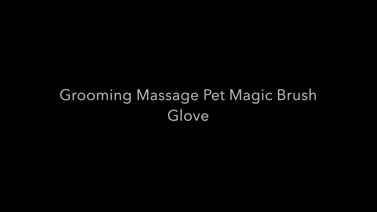 Grooming Magic Pet Brush Glove on Vimeo
