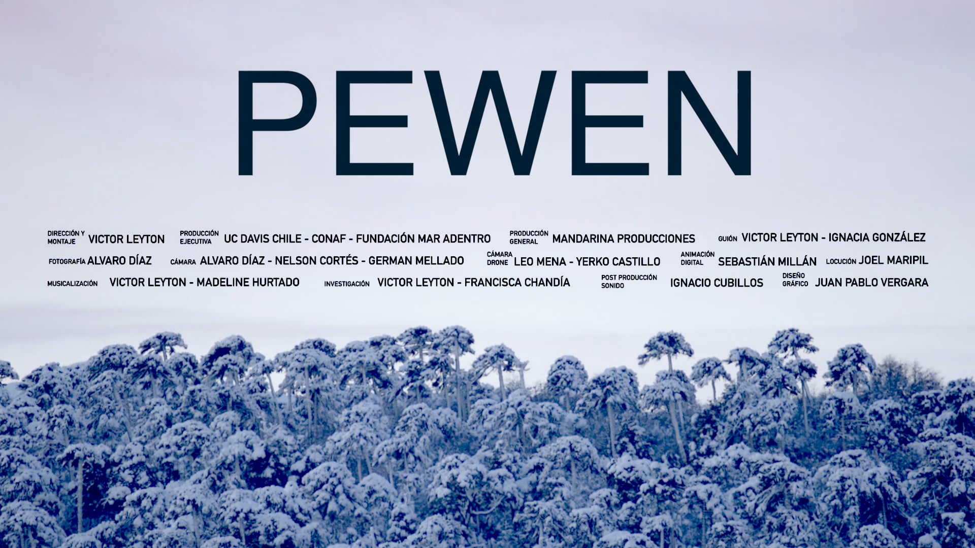 PEWEN, dirá la tierra