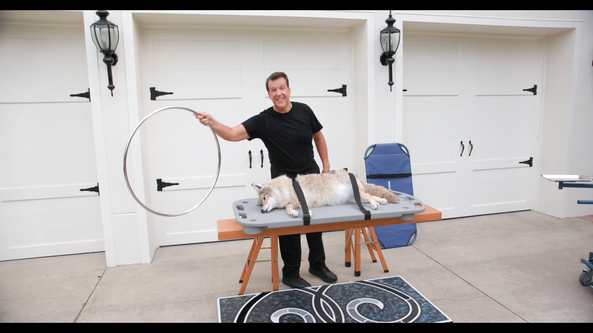 Olympic Veterinary Versa-Lift Gurney Promo