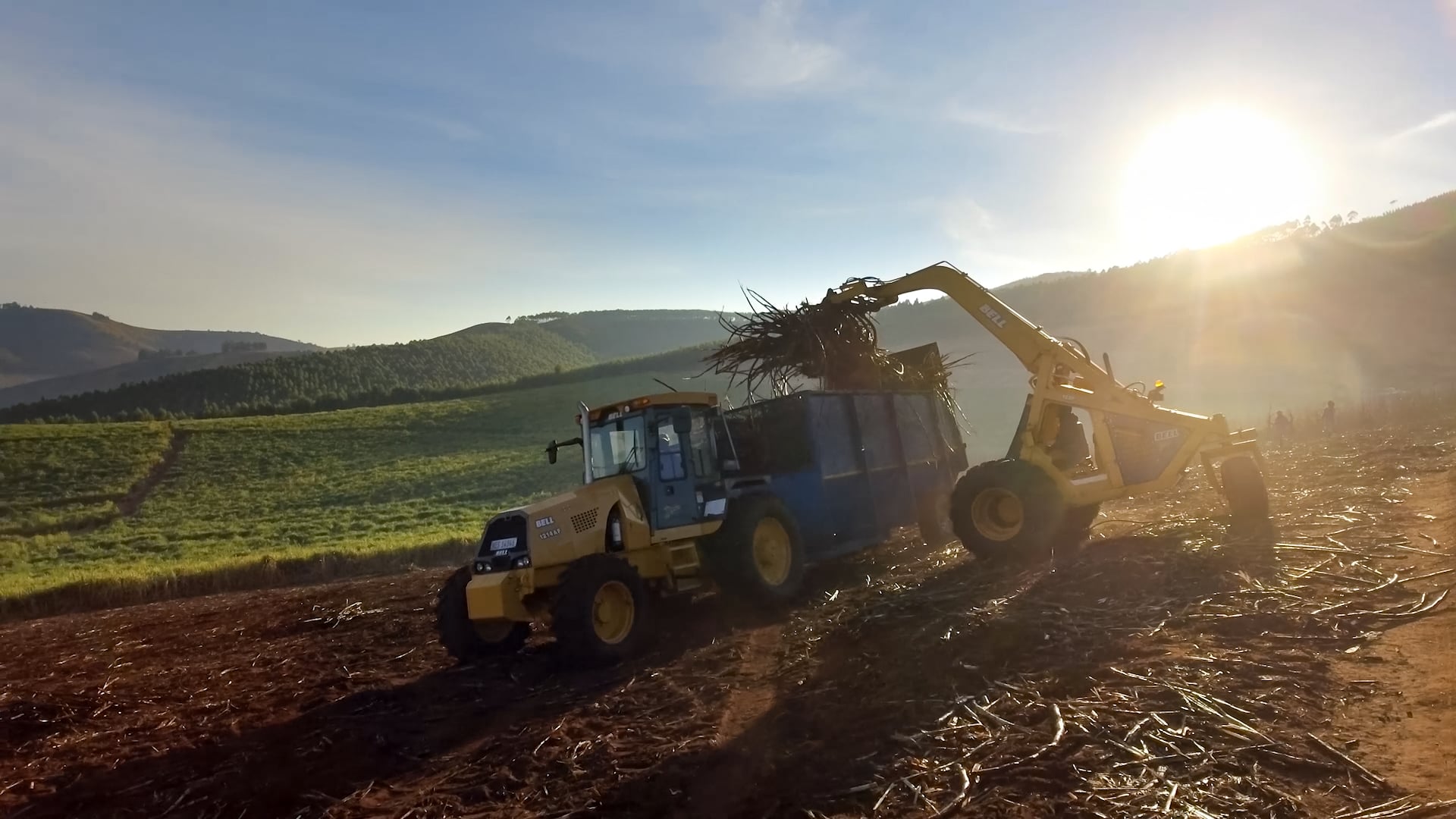 BELL Forestry & Agriculture