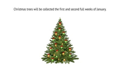 Thumbnail of video Christmas Tree Collection Information PSA