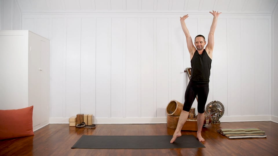 Peak Pose Sequencing: Handstand & Forearm Balance