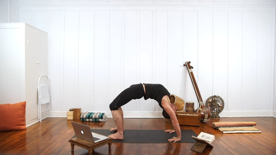 Peak Pose Sequencing: Project Backbend