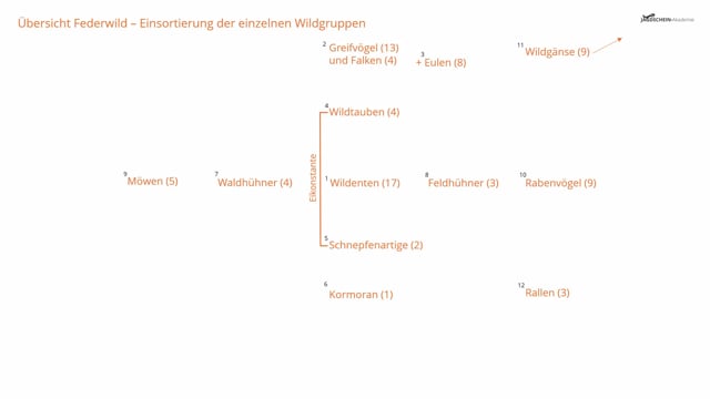 Federwild Übersicht - Einsortierung der einzelnen Wildgruppen