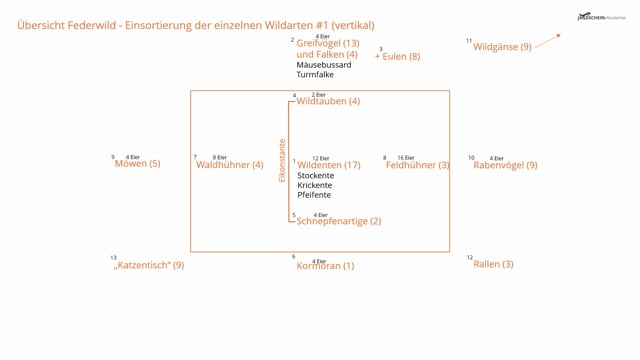 Federwild Übersicht - Einsortierung der einzelnen Wildarten #1 (vertikal)