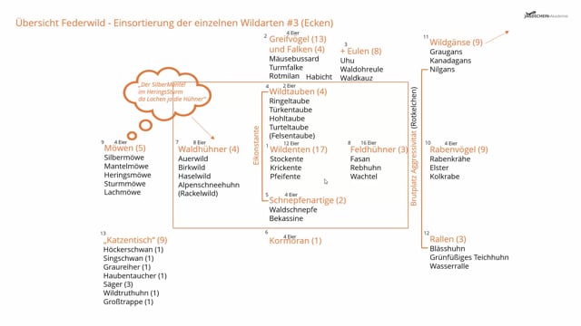 Federwild Übersicht - Einsortierung der einzelnen Wildarten #3 (Ecken)