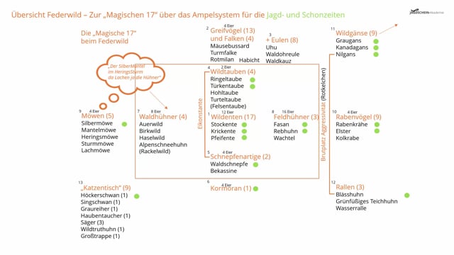 Federwild Übersicht - Die Magische 17 mit einer Jagd- und Schonzeit