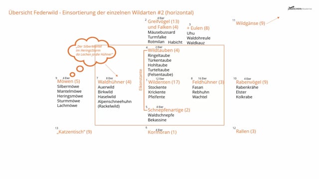 Federwild Übersicht - Einsortierung der einzelnen Wildarten #2 (horizontal)