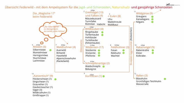 Federwild komplettes Ampelsystem