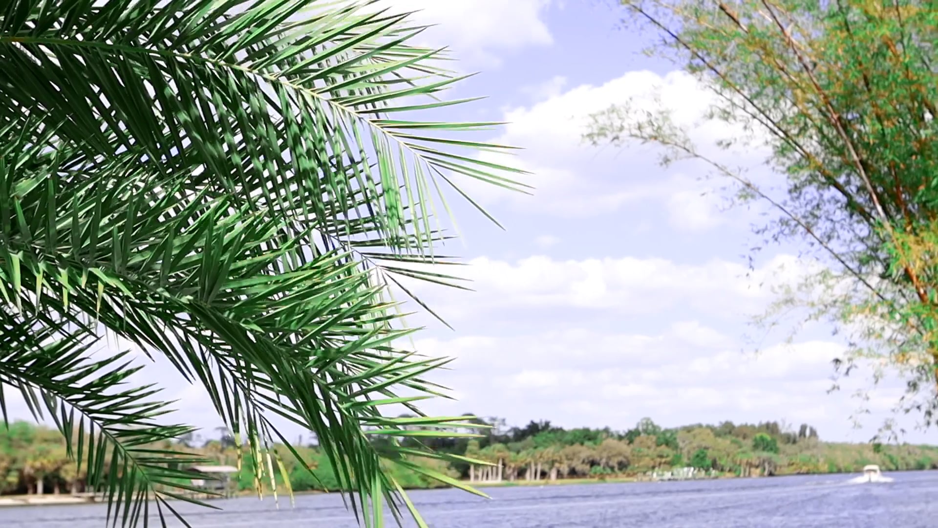MacKinsey and Jim Wedding Video Grace River Island Resort