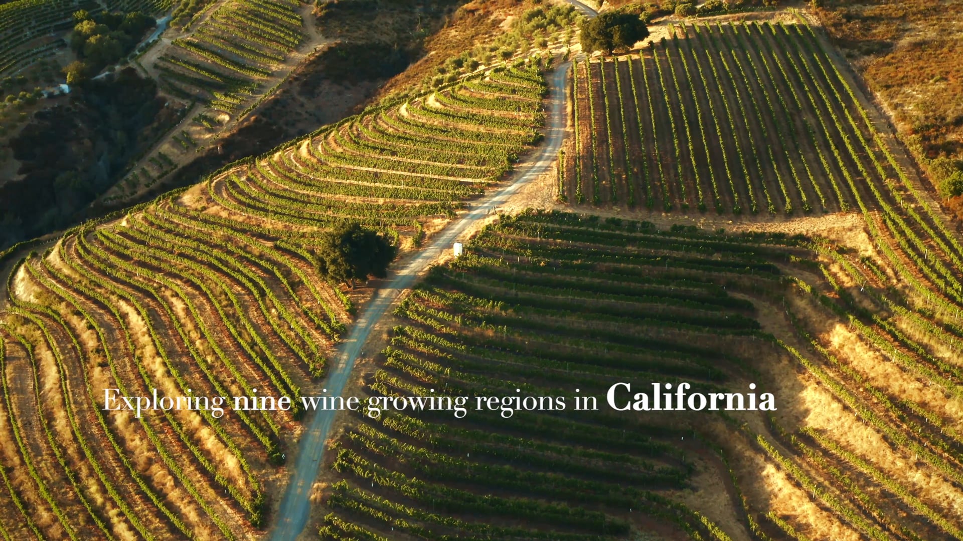 Caliwine on the Road (Trailer)