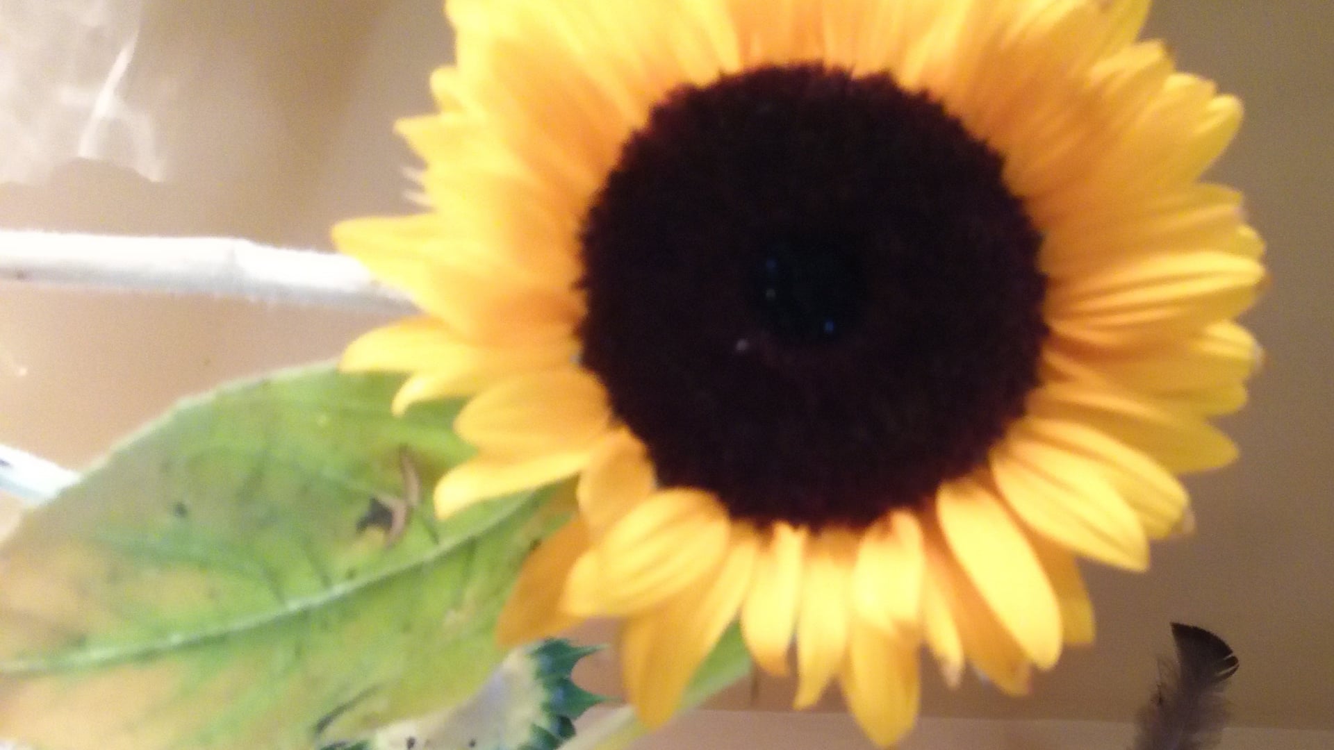 December 17, 2020: The 8-Fold Path Folded Into Sila, Samadhi, Prajna