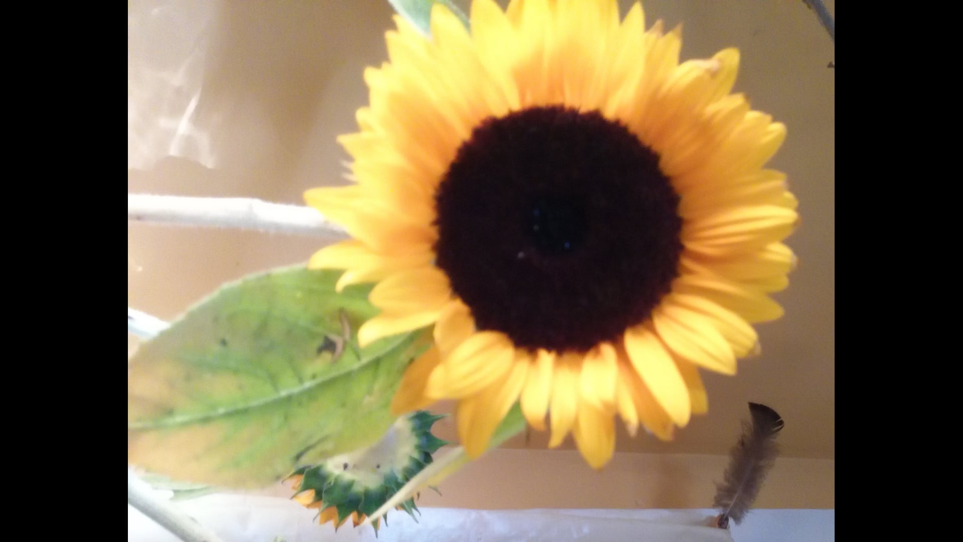 December 17, 2020: The 8-Fold Path Folded Into Sila, Samadhi, Prajna