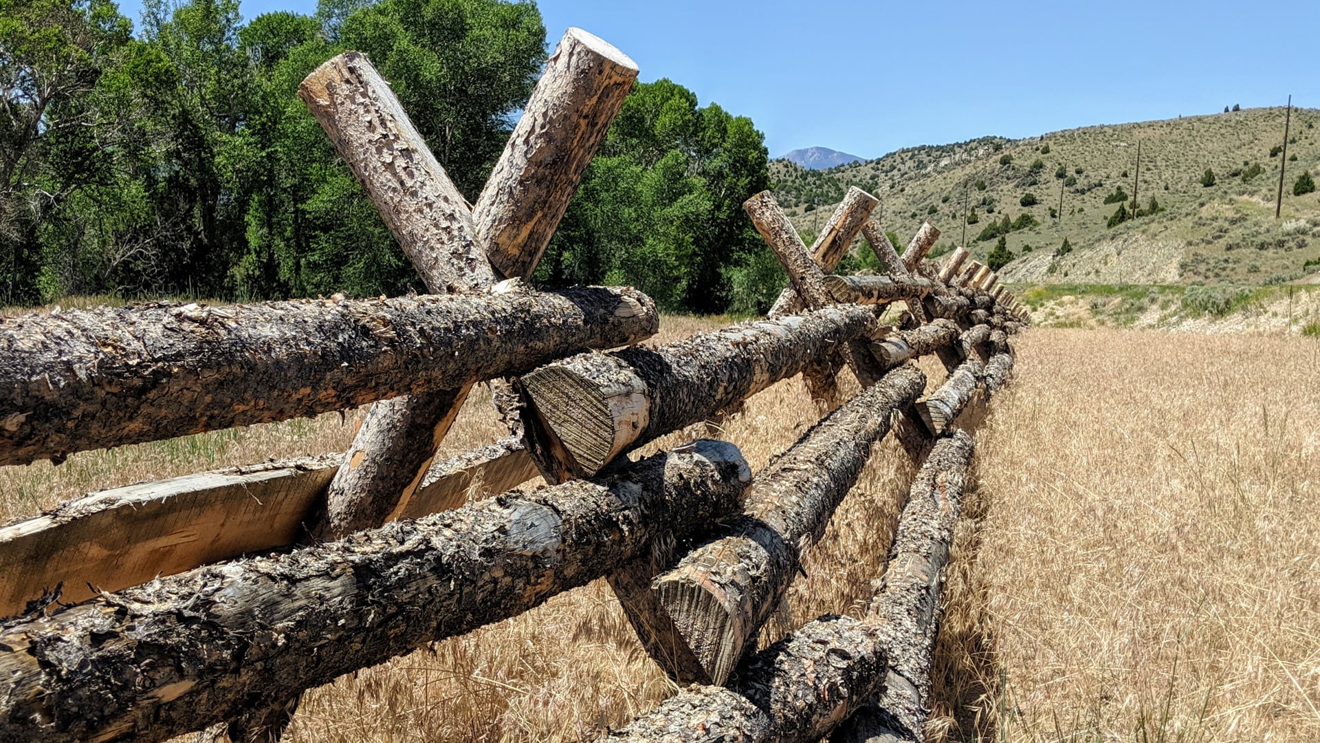 December 22, 2020: Sila, an Ethically Attuned Heart