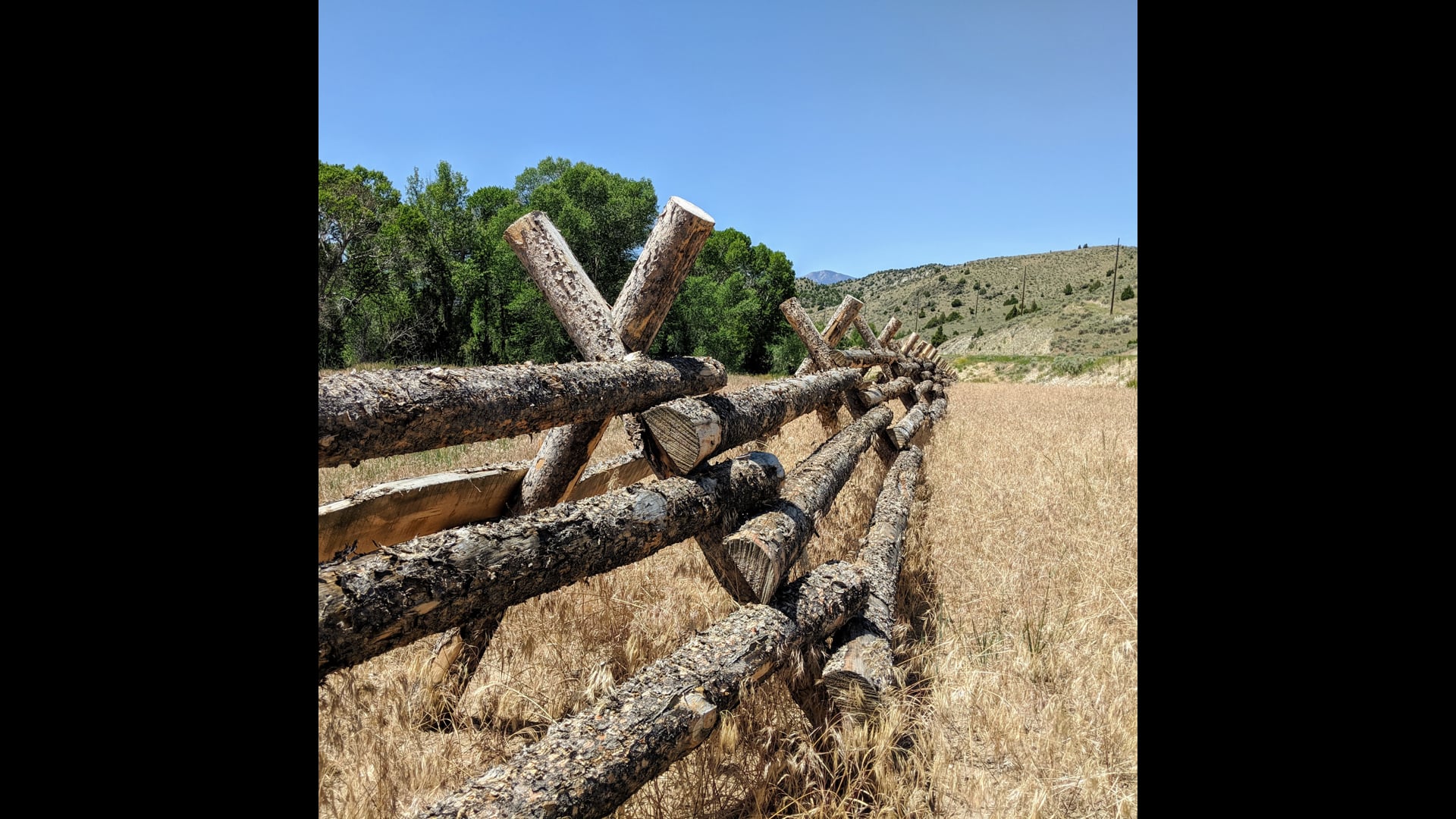 December 22, 2020: Sila, an Ethically Attuned Heart