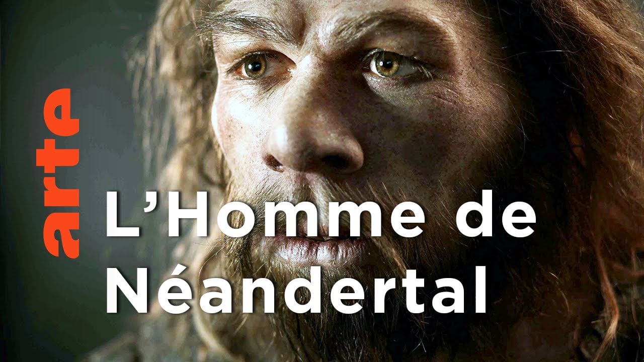 A LA RENCONTRE DE NEANDERTAL - Extract