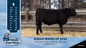 Lot #9 - SODAK WEIGH UP 9352