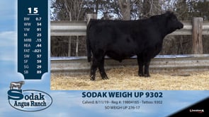 Lot #15 - SODAK WEIGH UP 9302