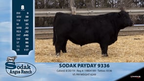 Lot #8 - SODAK PAYDAY 9336