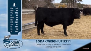 Lot #5 - SODAK WEIGH UP 9311