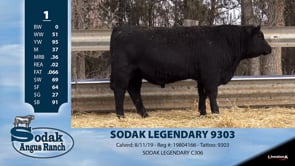 Lot #1 - SODAK LEGENDARY 9303