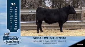 Lot #30 - SODAK WEIGH UP 9348
