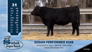 Lot #34 - SODAK PERFORMER 9368
