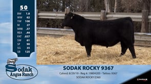 Lot #50 - SODAK ROCKY 9367
