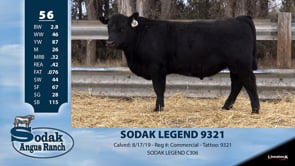 Lot #56 - SODAK LEGEND 9321