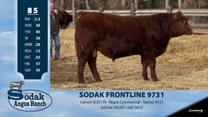 Lot #85 - SODAK FRONTLINE 9731