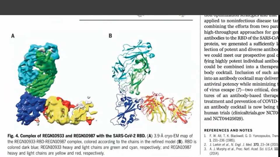 Regeneron Antibody Cocktail