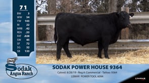Lot #71 - SODAK POWER HOUSE 9364