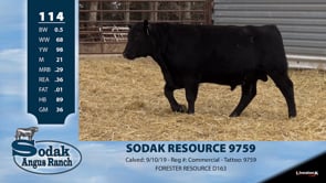 Lot #114 - SODAK RESOURCE 9759