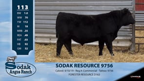 Lot #113 - SODAK RESOURCE 9756