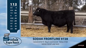 Lot #112 - SODAK FRONTLINE 9728