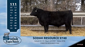Lot #111 - SODAK RESOURCE 9740