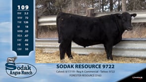 Lot #109 - SODAK RESOURCE 9722