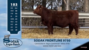 Lot #103 - SODAK FRONTLINE 9750