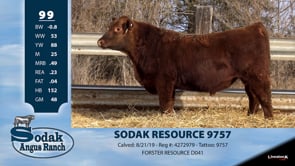 Lot #99 - SODAK RESOURCE 9757