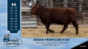 Lot #96 - SODAK FRONTLINE 9729 -OUT OF SALE-